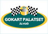 Gokart